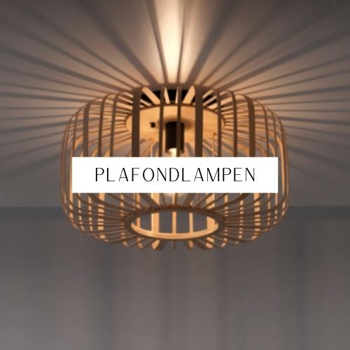 plafondlampen